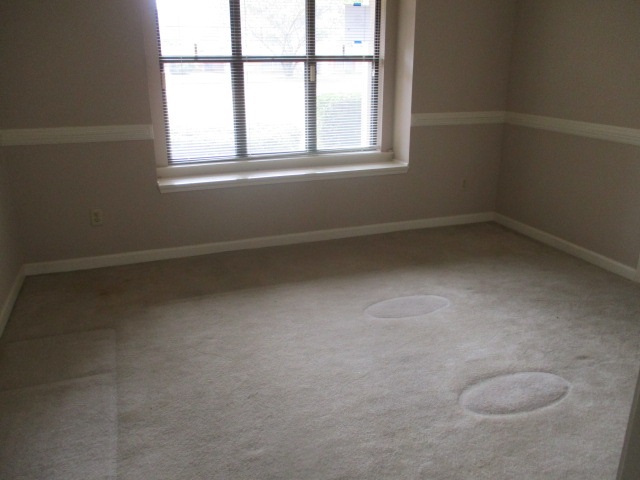 3653 Stonetrace Cir, Memphis, TN 38135 photo 9