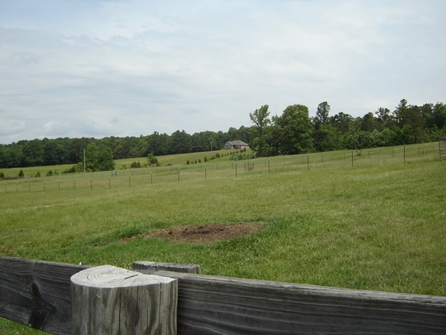 1150 Ode Moore Rd, Michie, TN 38357 photo 22
