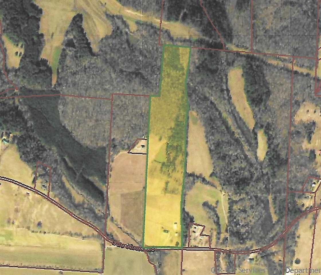 1150 Ode Moore Rd, Michie, TN 38357 photo 24