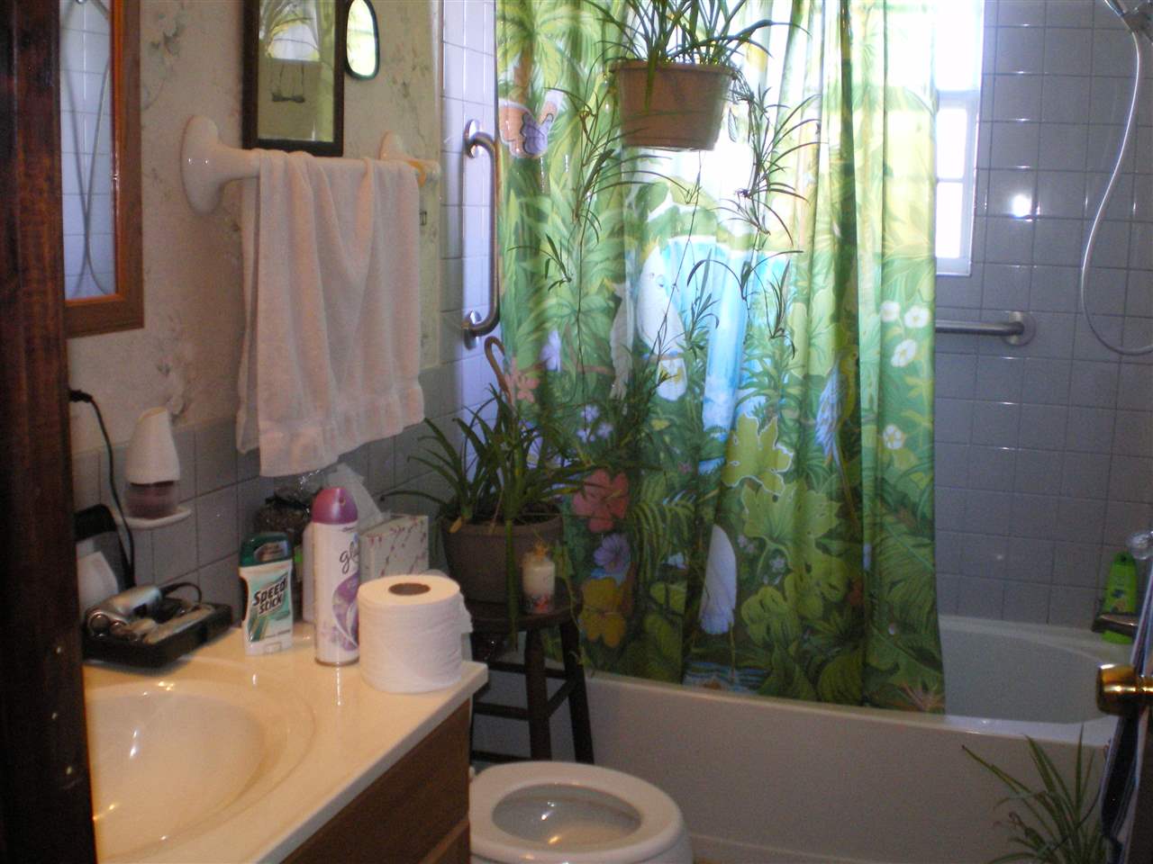 1150 Ode Moore Rd, Michie, TN 38357 photo 12