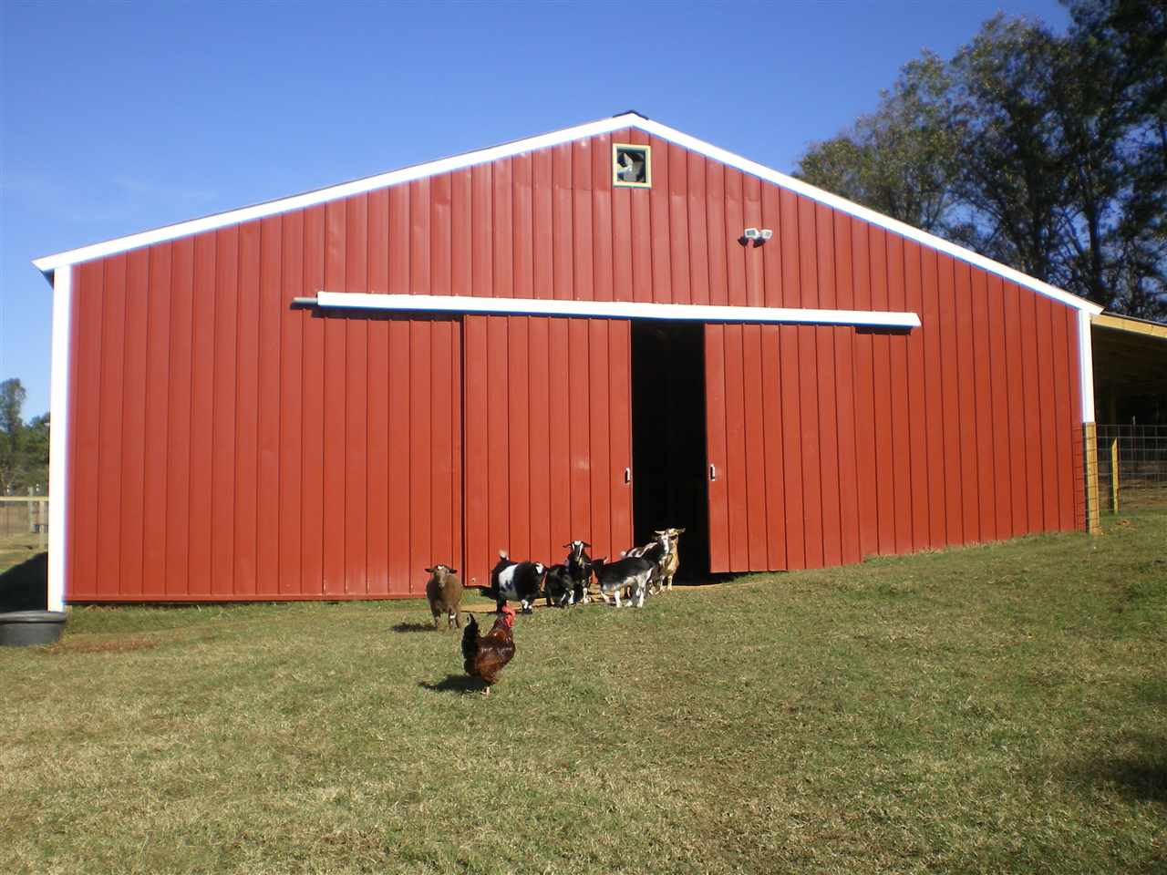 1150 Ode Moore Rd, Michie, TN 38357 photo 16