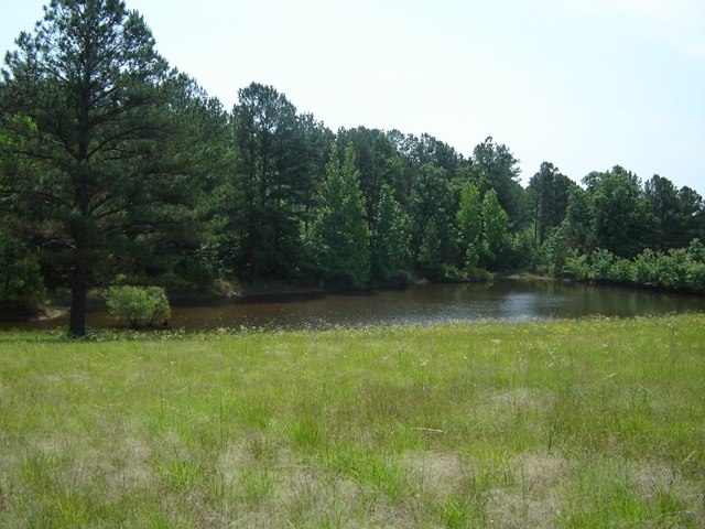 1150 Ode Moore Rd, Michie, TN 38357 photo 3