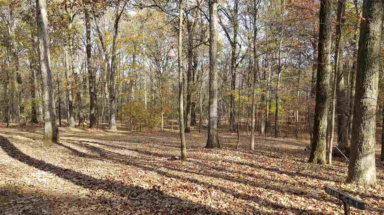 4020 Brunswick Rd, Bartlett, TN 38133 photo 14