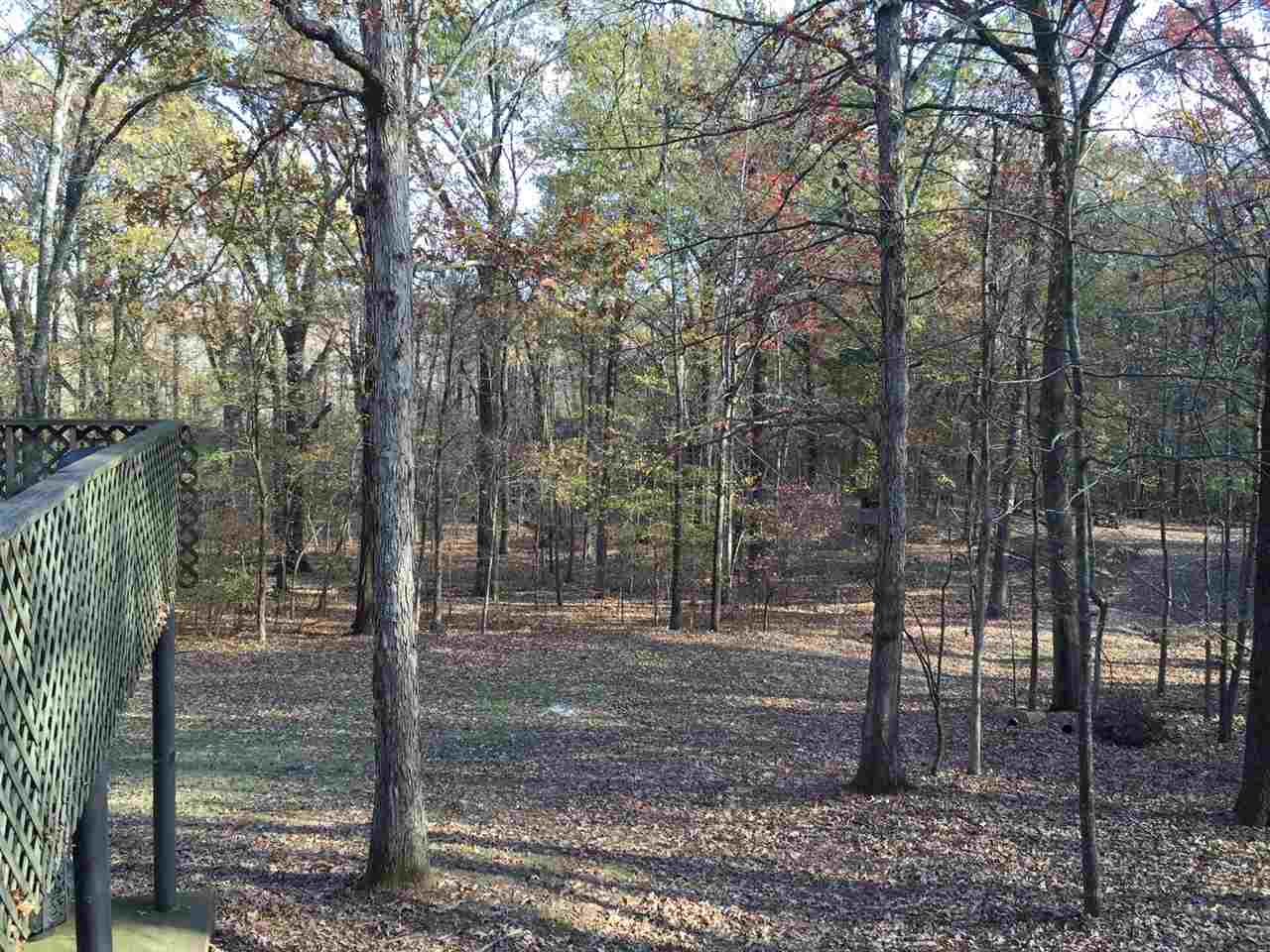 4020 Brunswick Rd, Bartlett, TN 38133 photo 15