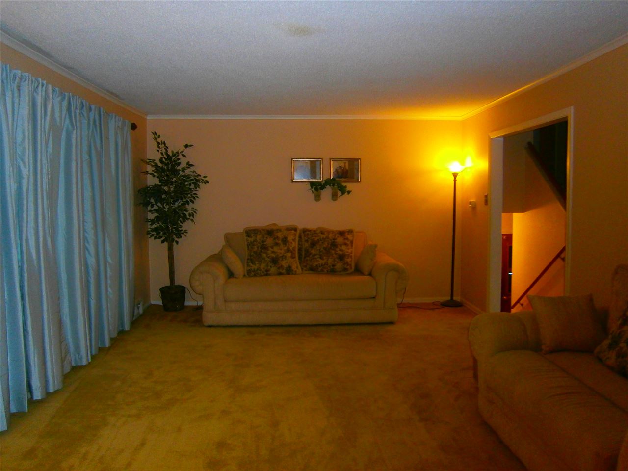 3010 Dumbarton Rd, Memphis, TN 38128 photo 4