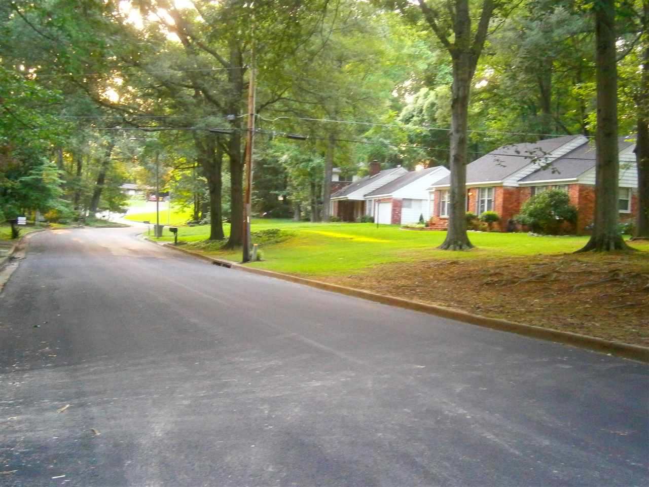 3010 Dumbarton Rd, Memphis, TN 38128 photo 25