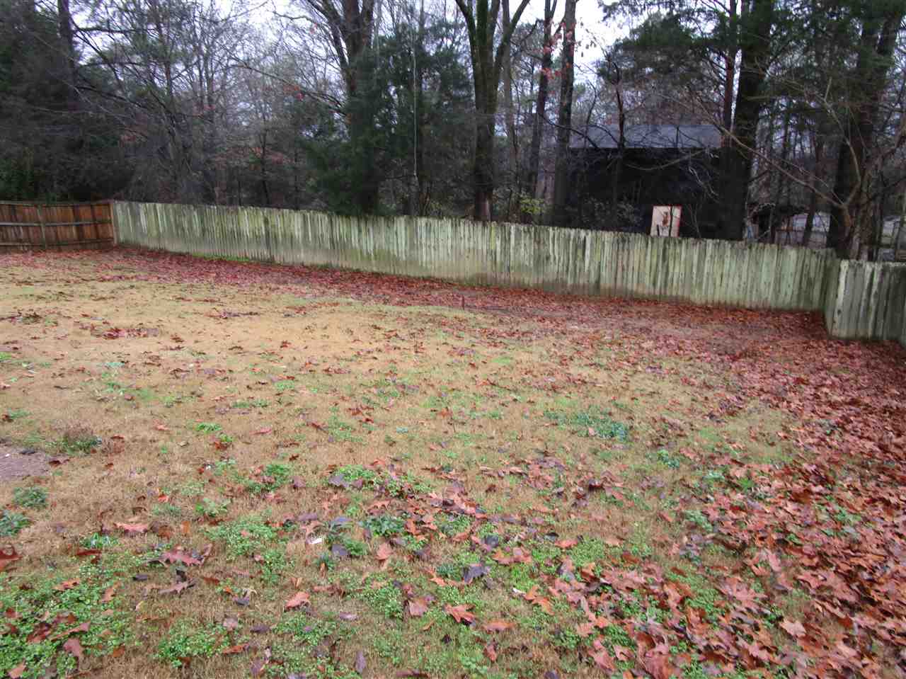 7247 Noah Dr, Bartlett, TN 38133 photo 11