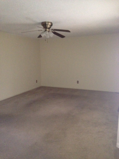 29 Thomas Cv, Jackson, TN 38305 photo 13