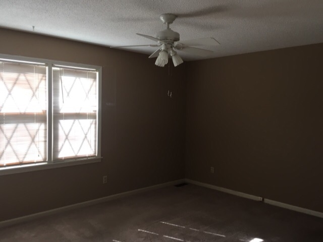 29 Thomas Cv, Jackson, TN 38305 photo 12