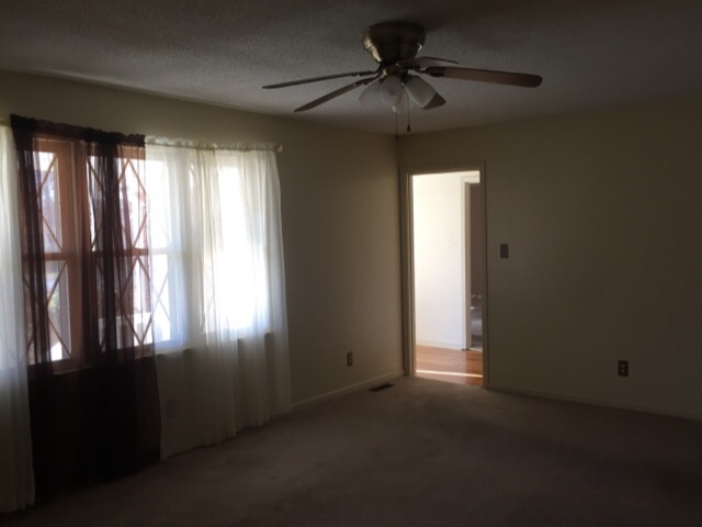 29 Thomas Cv, Jackson, TN 38305 photo 5