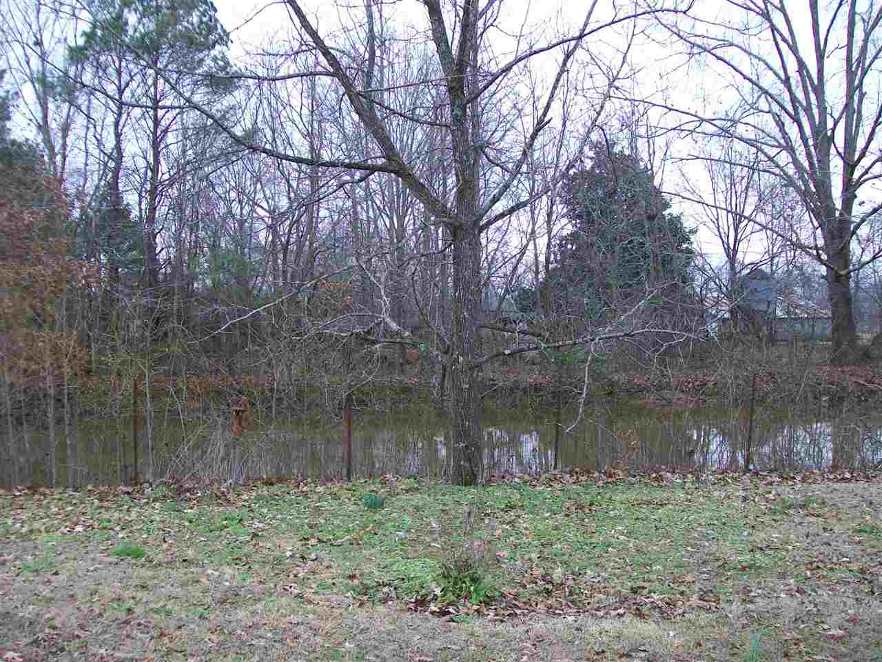1611 Mtvernon Rd, Ramer, TN 38367 photo 21