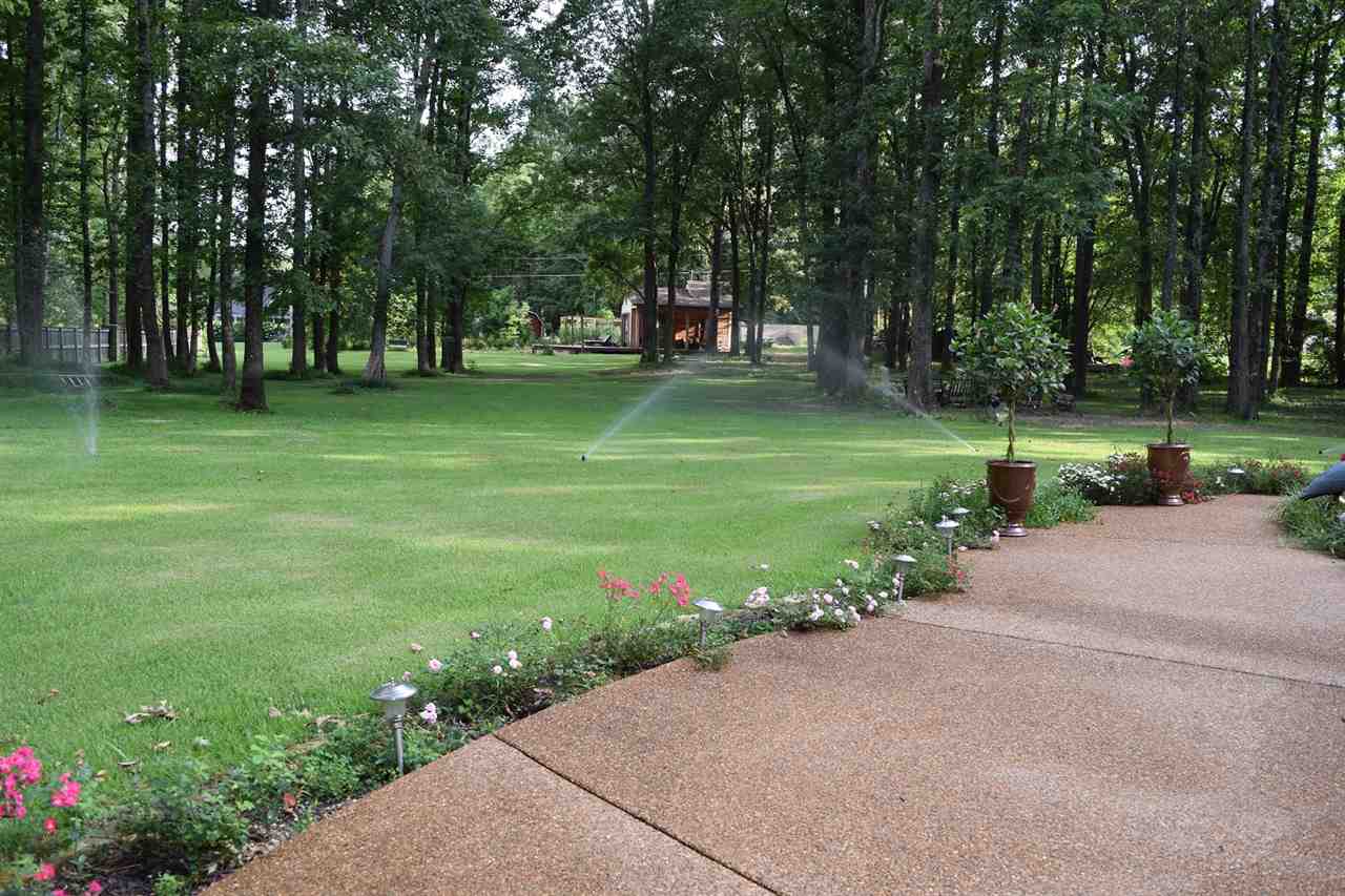 9145 Forest Wind Dr, Collierville, TN 38017 photo 21