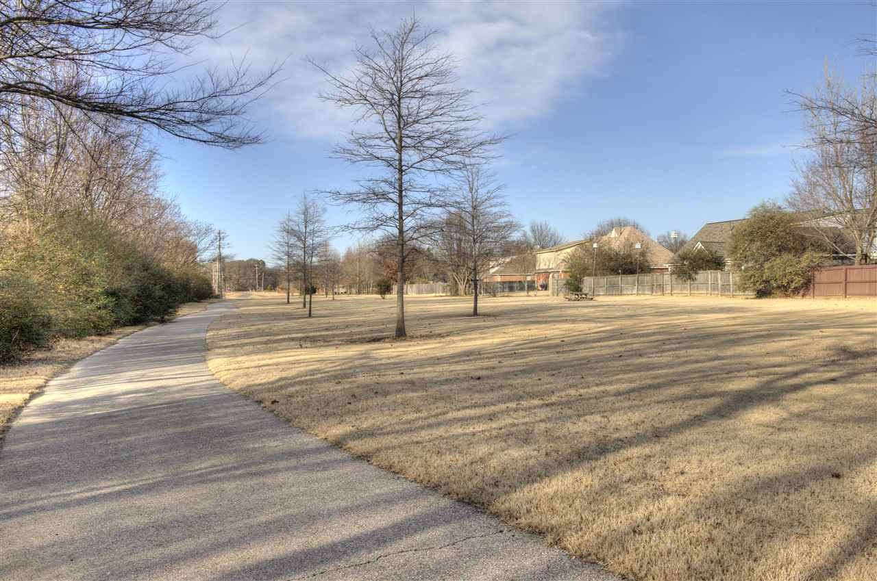 3371 Broadway St, Bartlett, TN 38133 photo 20
