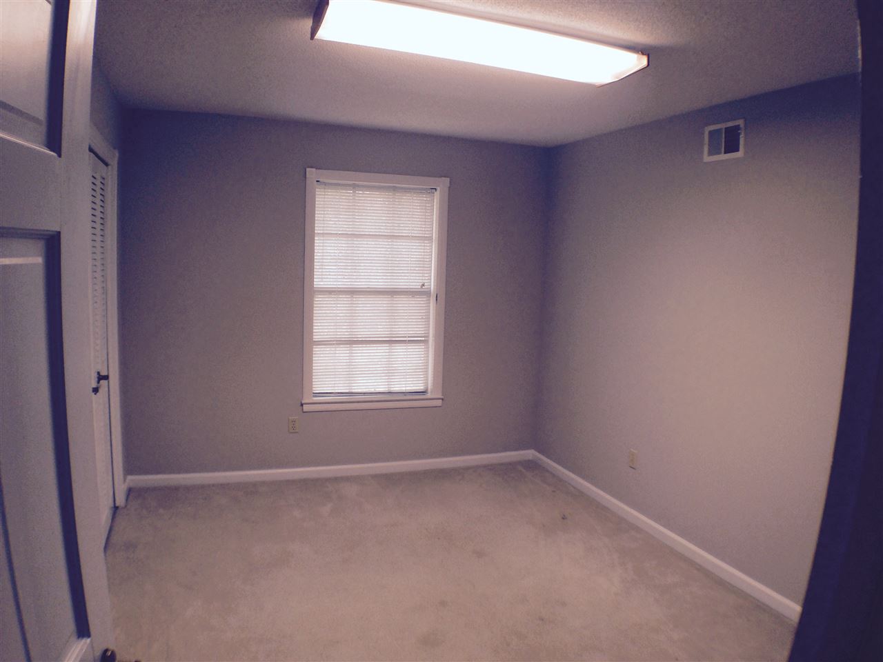 5527 Ackerman Cv, Bartlett, TN 38134 photo 10