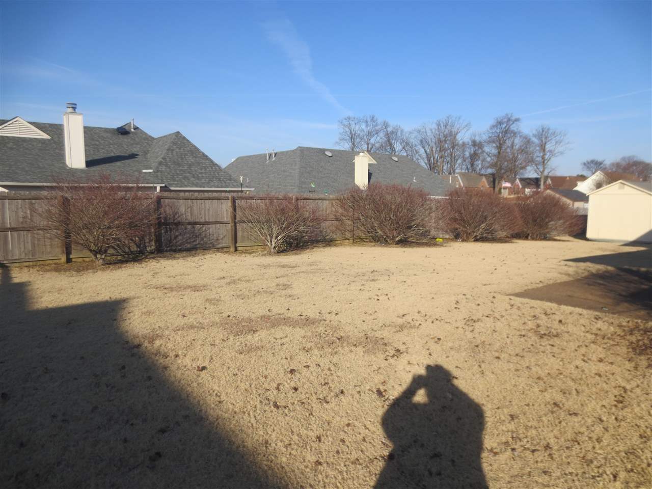 6352 Thistle Point Cv, Bartlett, TN 38135 photo 18