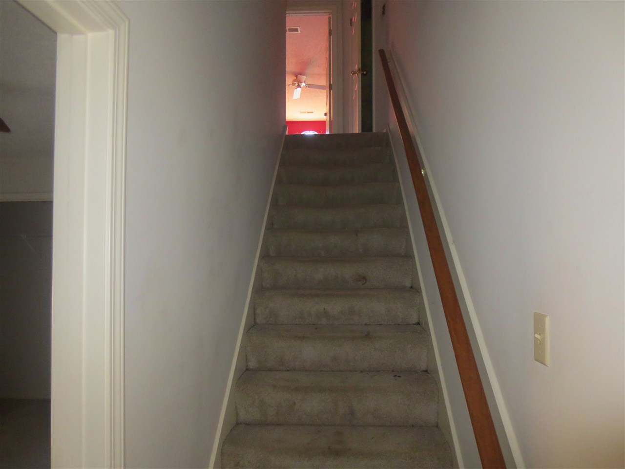 6352 Thistle Point Cv, Bartlett, TN 38135 photo 16