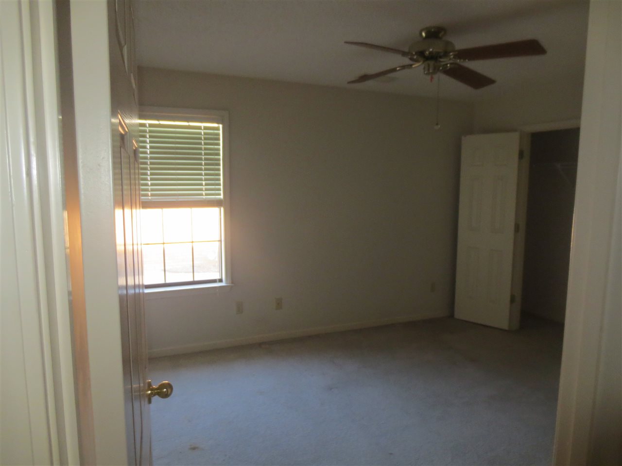 6352 Thistle Point Cv, Bartlett, TN 38135 photo 15