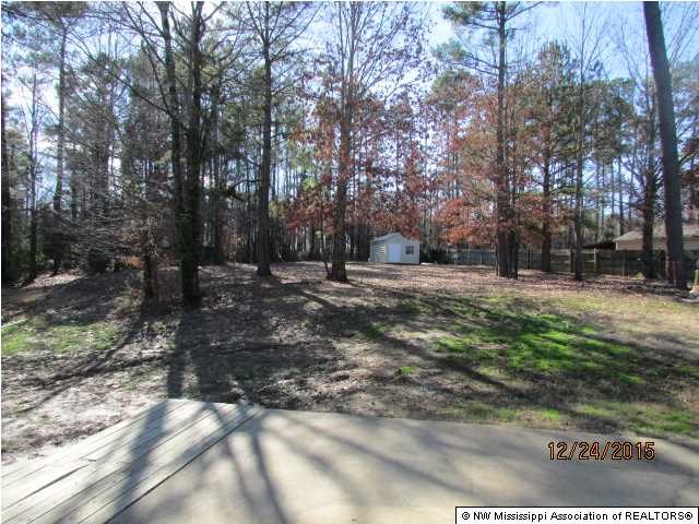 9897 Chris Dr, Olive Branch, MS 38654 photo 19