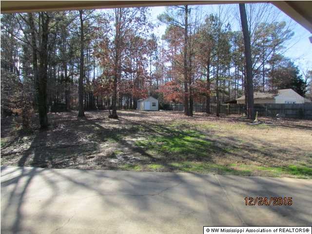 9897 Chris Dr, Olive Branch, MS 38654 photo 17