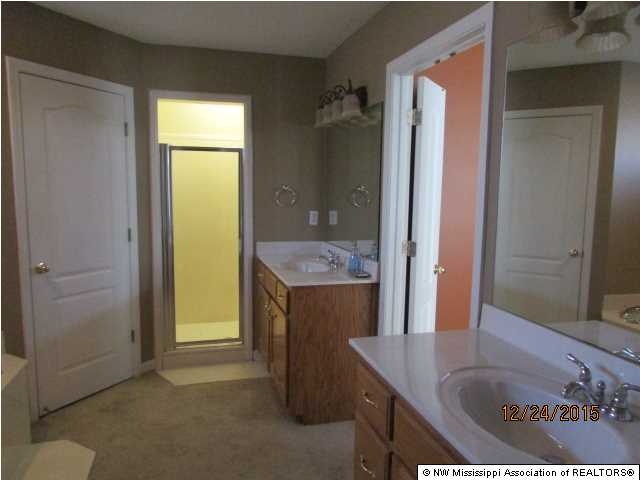 9897 Chris Dr, Olive Branch, MS 38654 photo 13