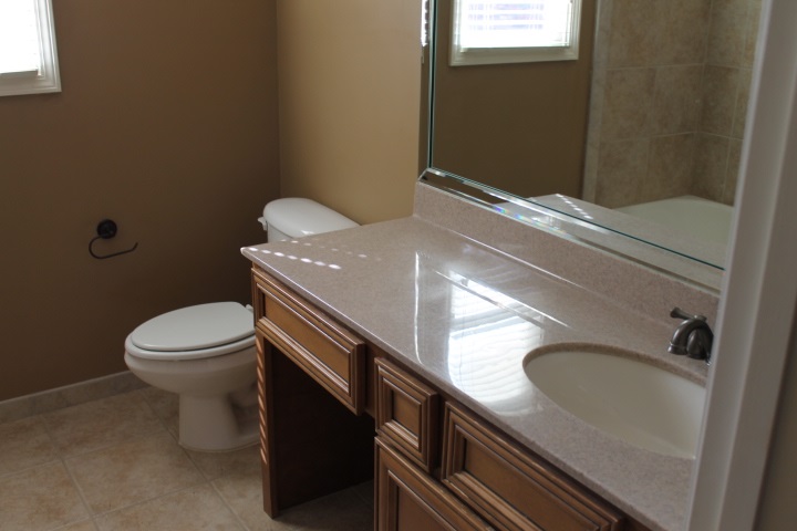 8733 Brunswick Forest Dr, Bartlett, TN 38133 photo 21