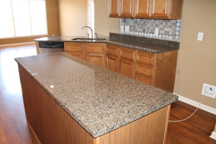 8733 Brunswick Forest Dr, Bartlett, TN 38133 photo 11