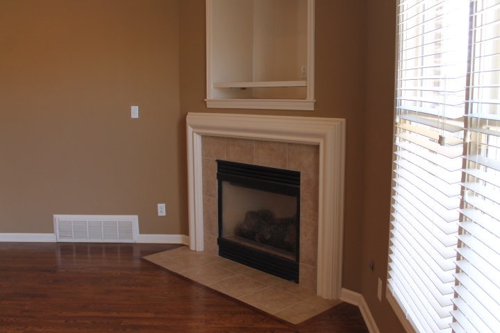 8733 Brunswick Forest Dr, Bartlett, TN 38133 photo 15