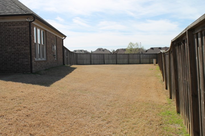 8733 Brunswick Forest Dr, Bartlett, TN 38133 photo 20
