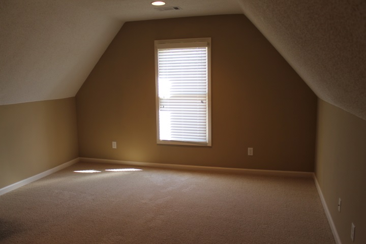 8733 Brunswick Forest Dr, Bartlett, TN 38133 photo 24
