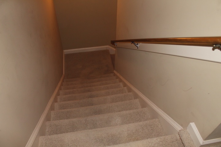 8733 Brunswick Forest Dr, Bartlett, TN 38133 photo 23
