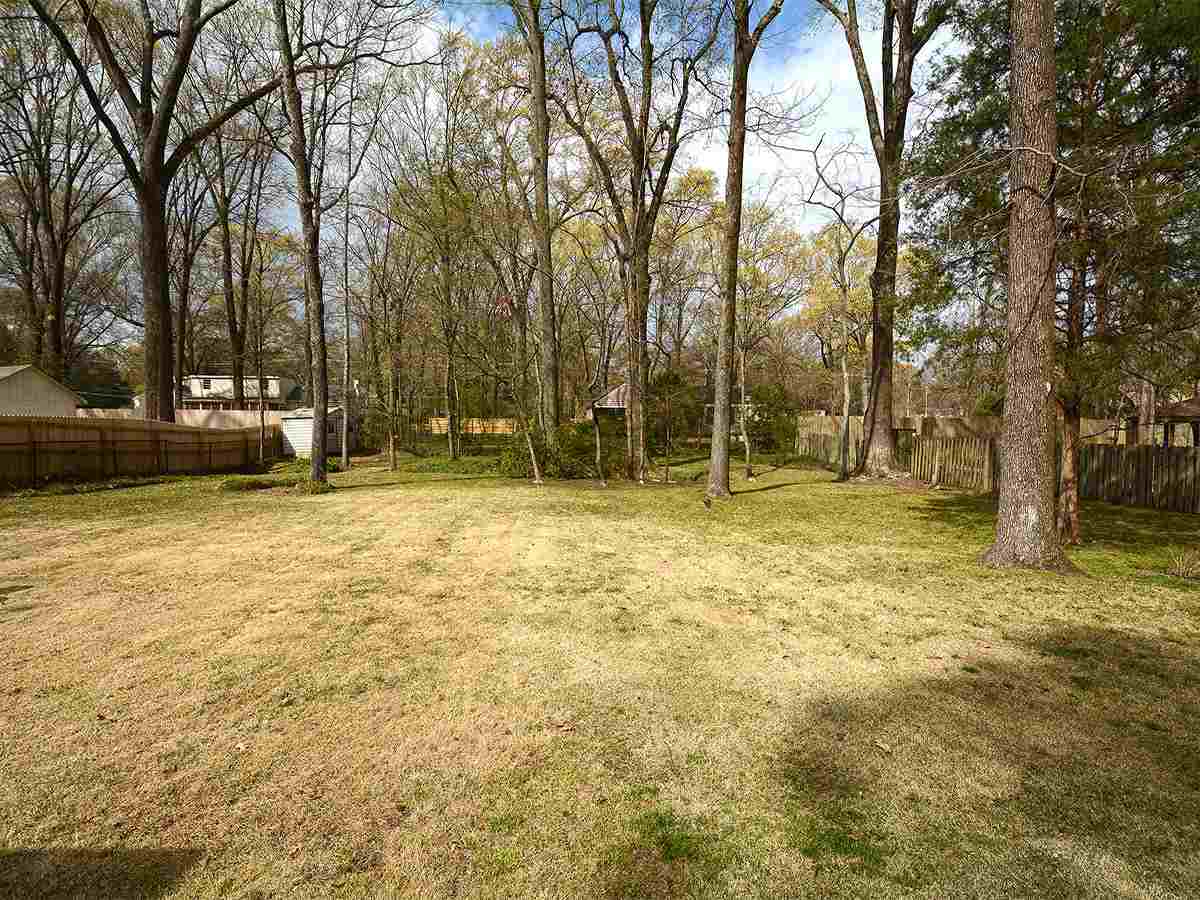 431 Erwin Dr, Memphis, TN 38117 photo 16