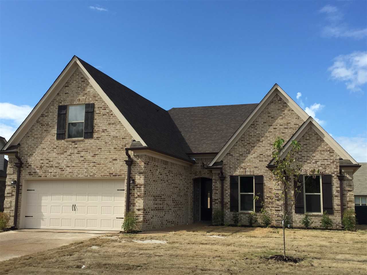 8378 Wild Dune Ln, Arlington, TN 38002 photo 1