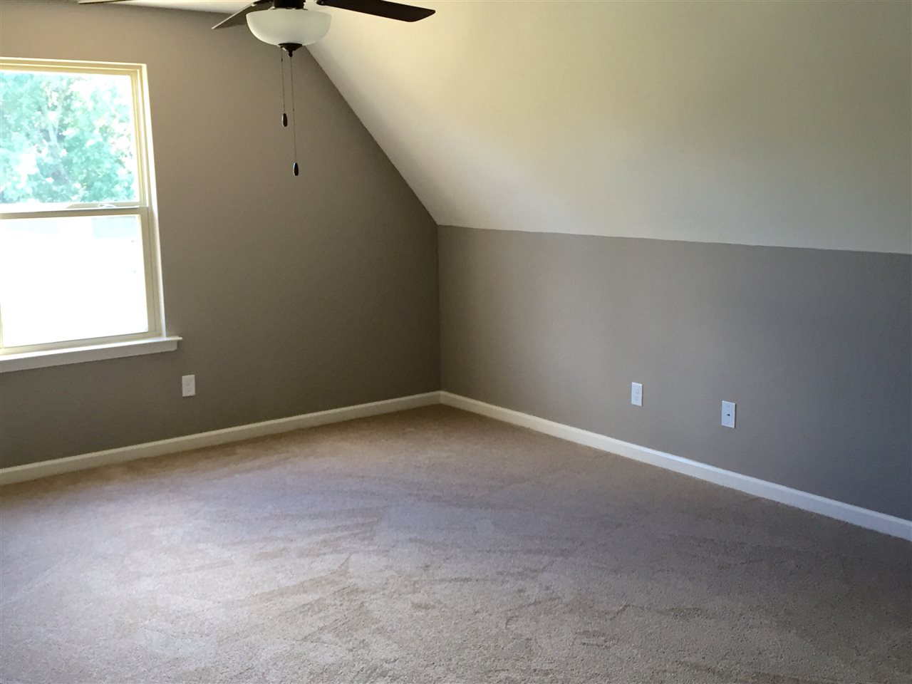 8378 Wild Dune Ln, Arlington, TN 38002 photo 5