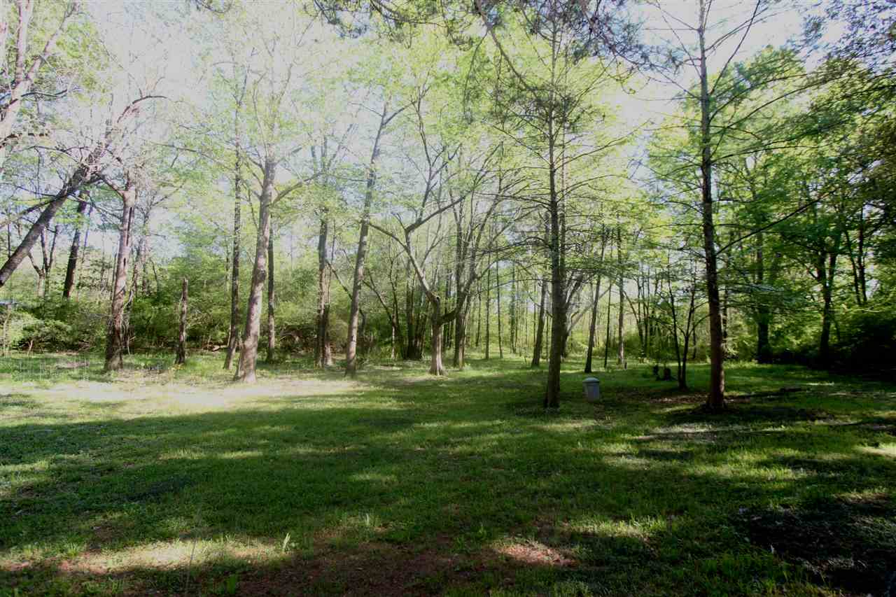 5899 Elmore Rd, Bartlett, TN 38134 photo 4