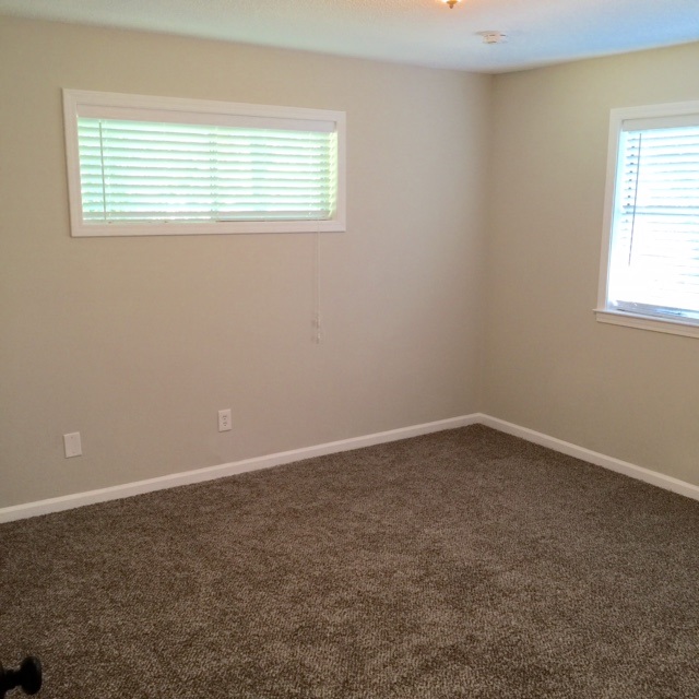 3602 Greenleaf Cv, Bartlett, TN 38135 photo 9