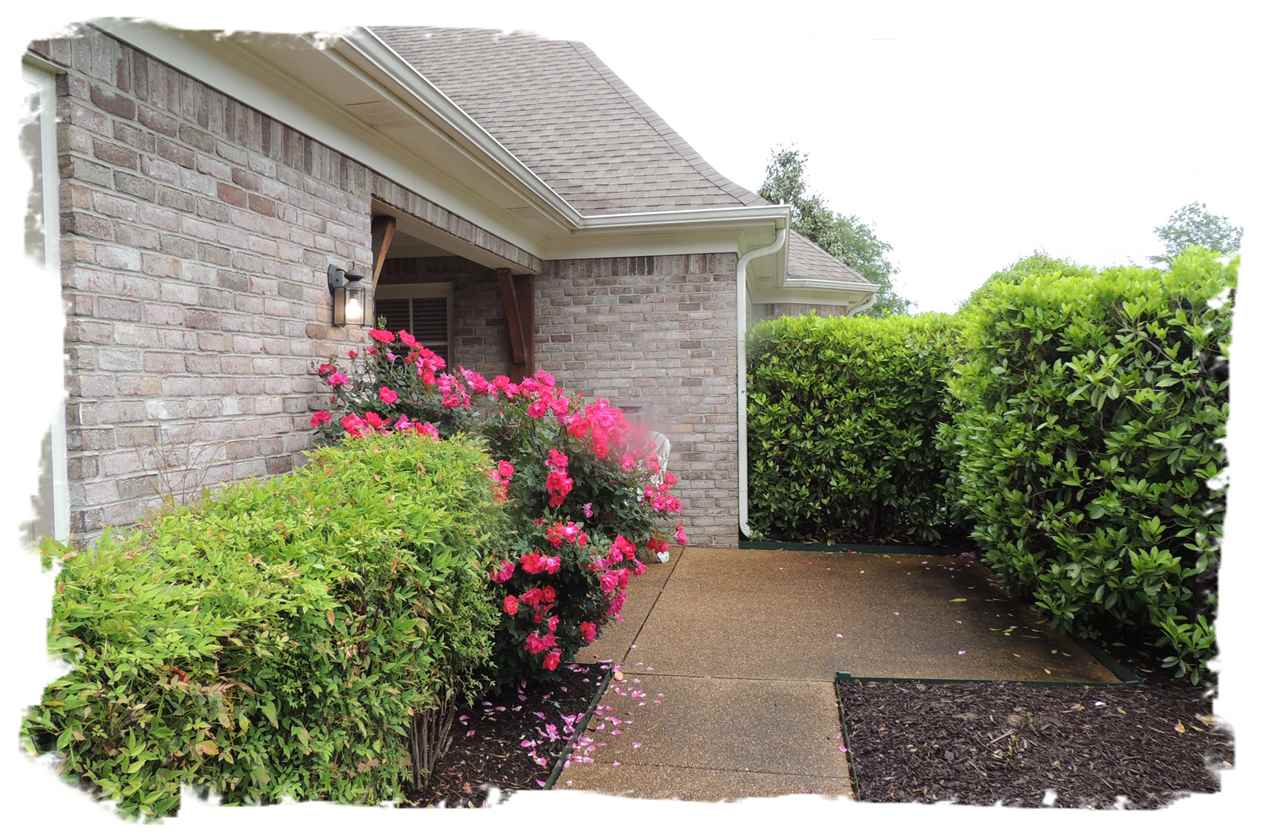 307 E Colbert St, Collierville, TN 38017 photo 2