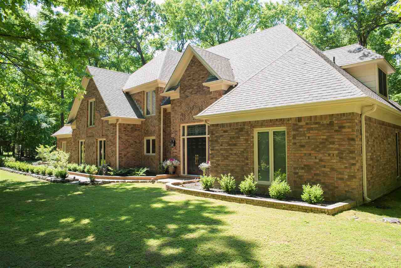 9301 John Thomas Cv, Bartlett, TN 38133 photo 24