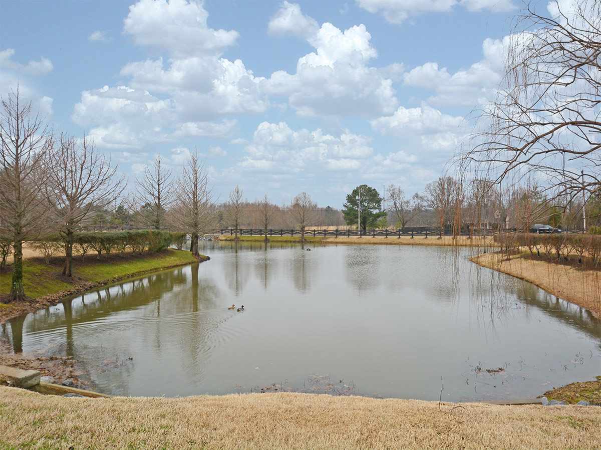 4458 Fleming Rd, Collierville, TN 38017 photo 23