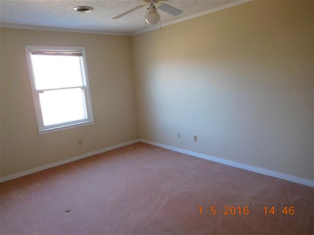 12 Burning Tree Cv, Jackson, TN 38305 photo 22