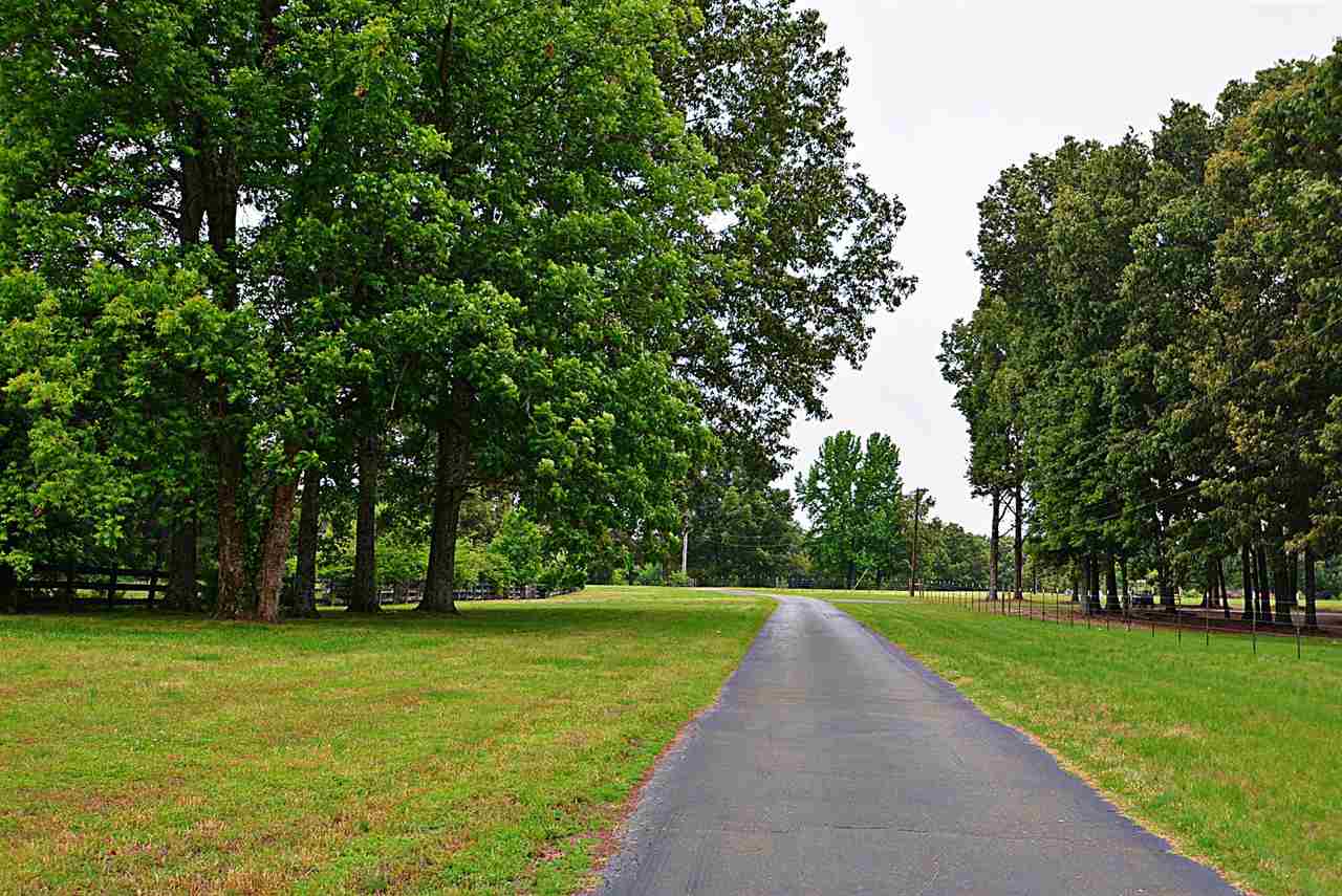 2947 Pine Tree Rd, Hernando, MS 38632 photo 25