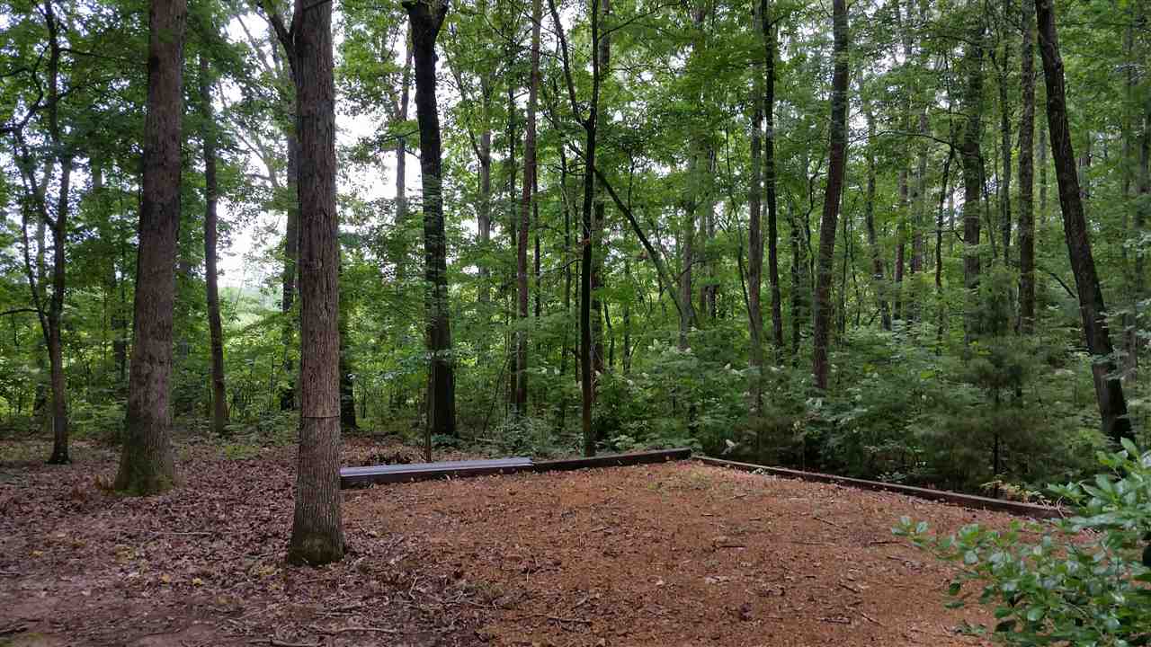 150 Maxie Loop, Savannah, TN 38372 photo 18