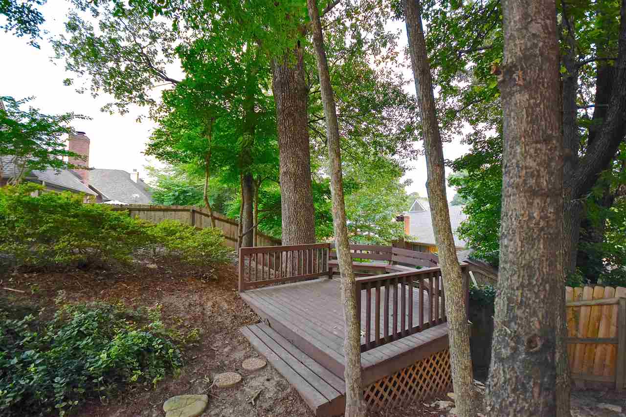 8645 Meadow Green Dr, Memphis, TN 38016 photo 2