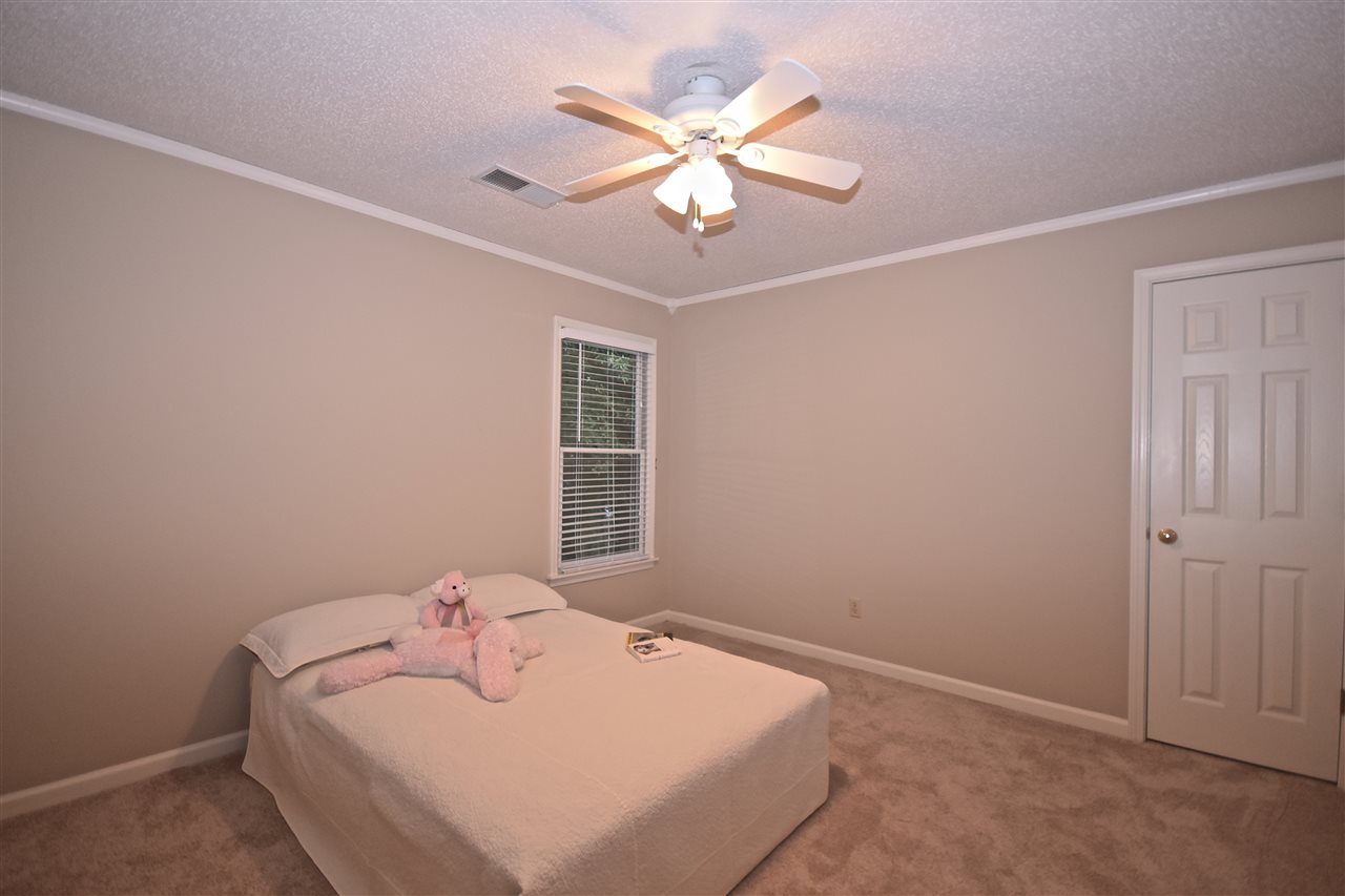 8645 Meadow Green Dr, Memphis, TN 38016 photo 19