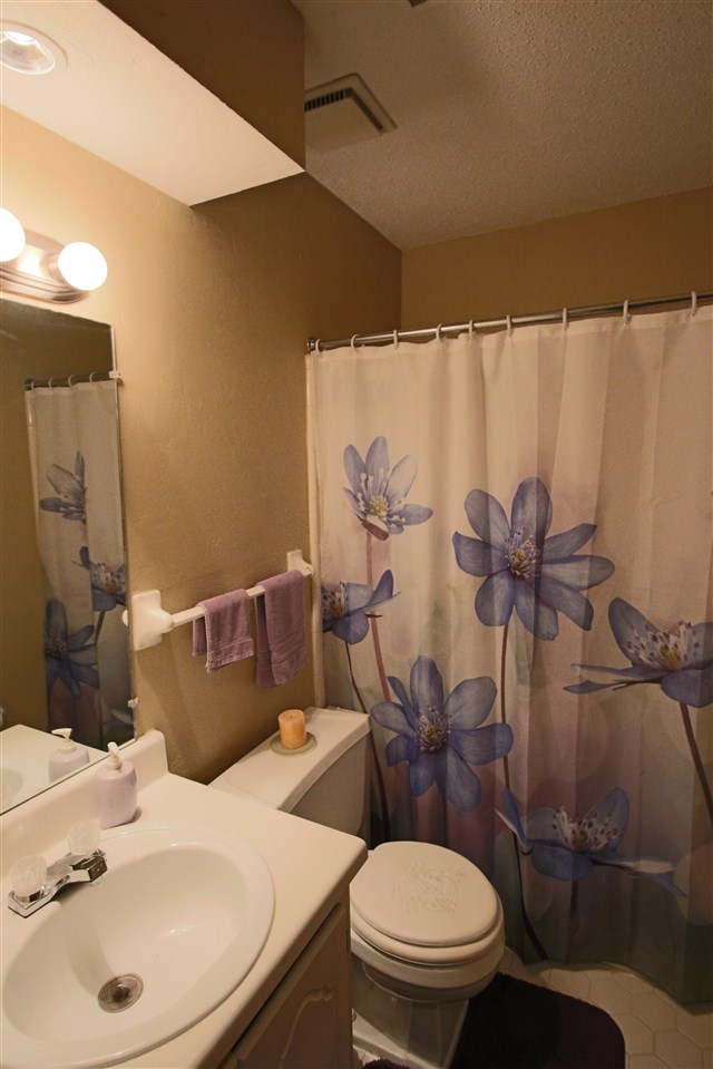 3401 Sycamore View Rd, Bartlett, TN 38134 photo 11