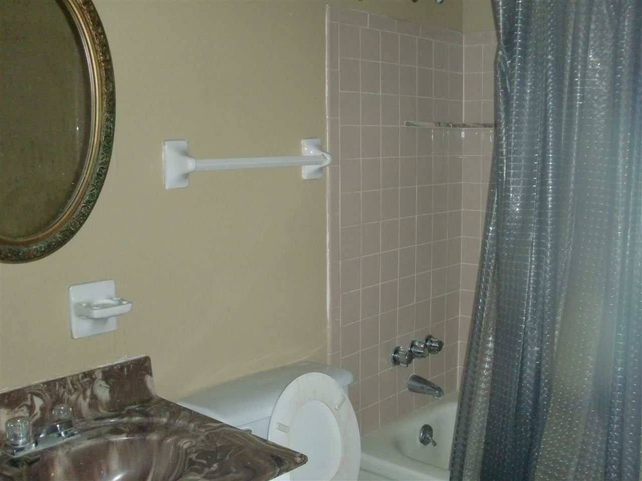 5665 Maple Tree Dr, Memphis, TN 38115 photo 9