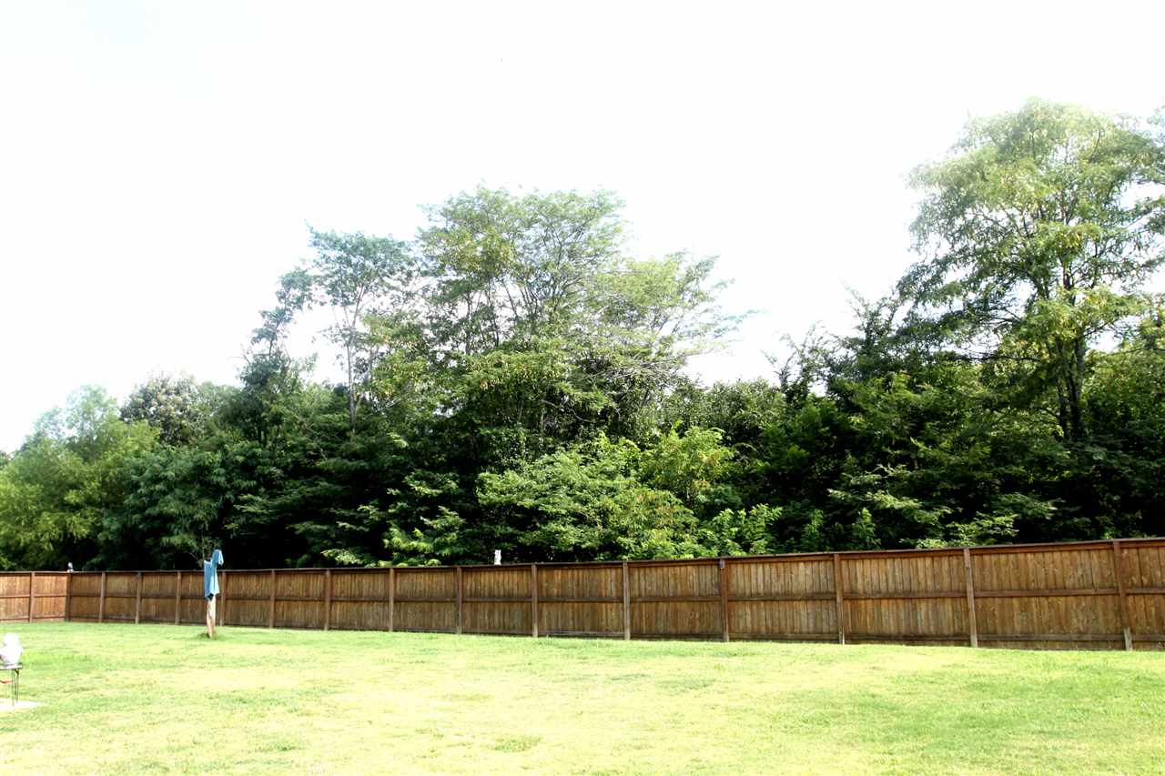 8628 Branson Dr, Bartlett, TN 38133 photo 4