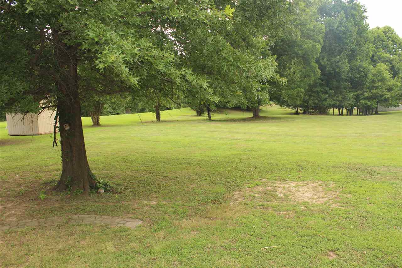 105 Wilkinsville Rd N, Drummonds, TN 38023 photo 5