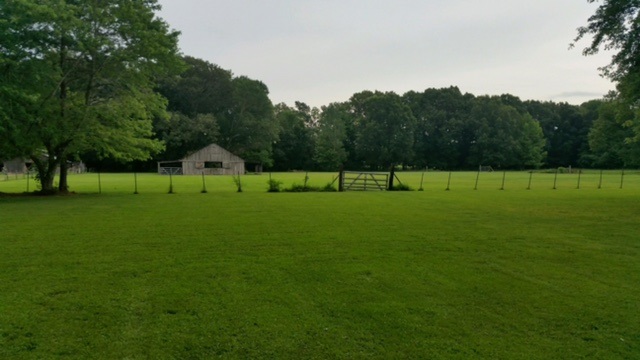5186 Hatch Ln, Arlington, TN 38002 photo 24