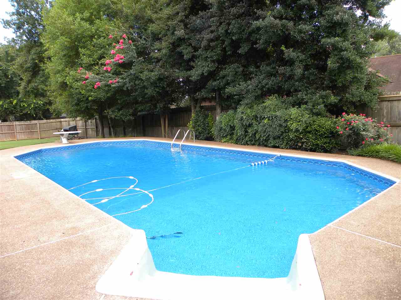 247 E Nolley Dr, Collierville, TN 38017 photo 17