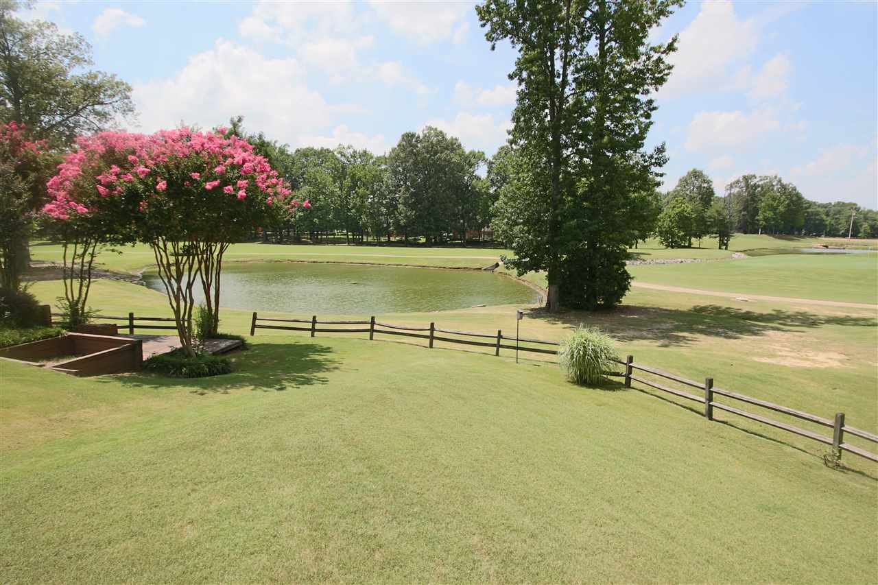 6237 Lake View Cv, Bartlett, TN 38135 photo 21